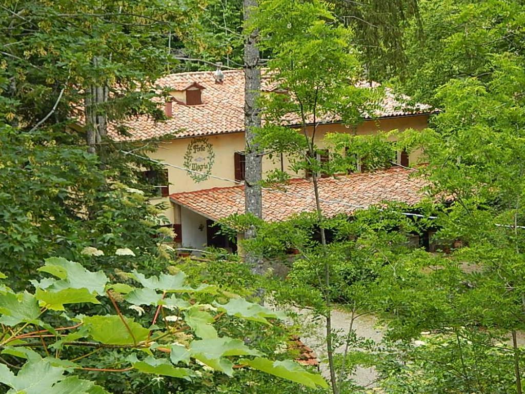 Agriturismo Fonte Magria Abbadia San Salvator Luaran gambar