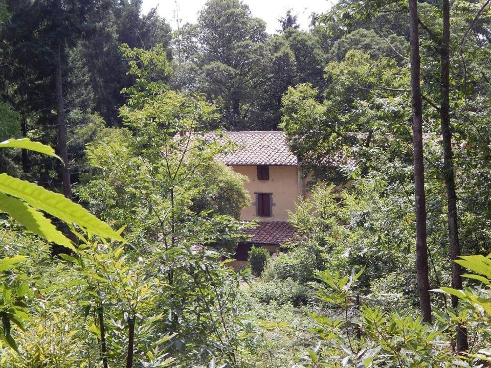 Agriturismo Fonte Magria Abbadia San Salvator Luaran gambar