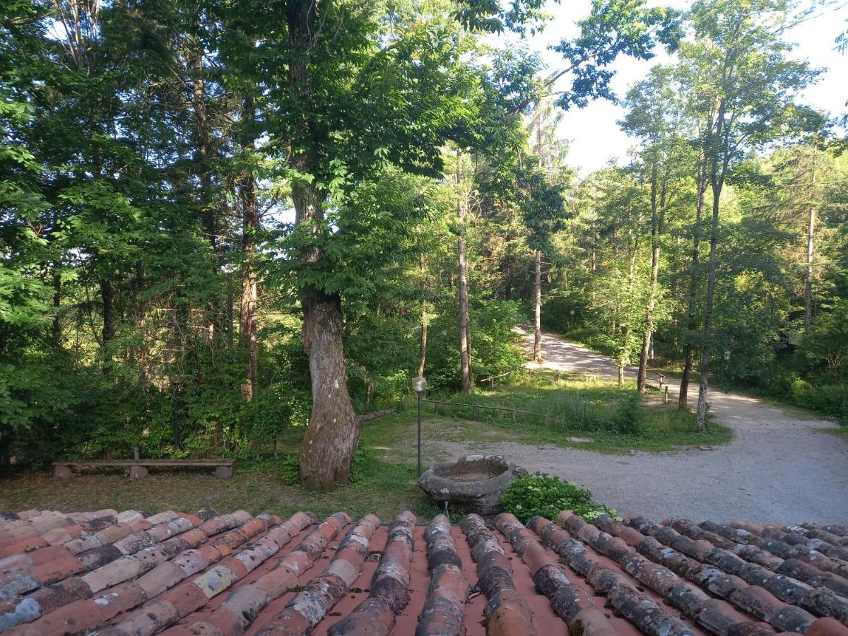 Agriturismo Fonte Magria Abbadia San Salvator Luaran gambar